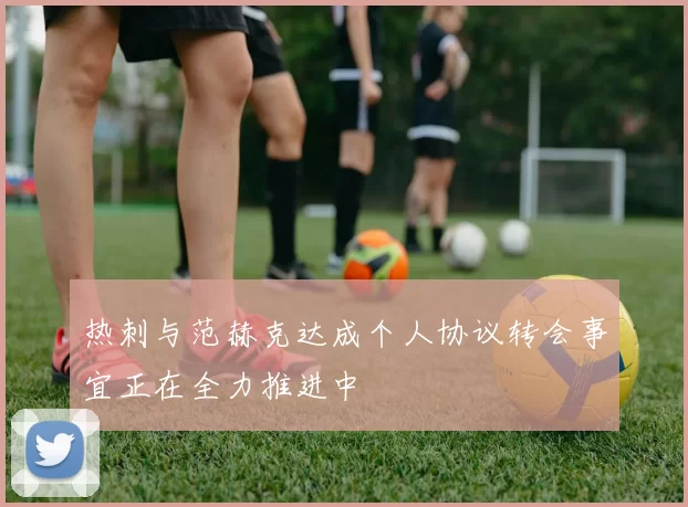 热刺与范赫克达成个人协议转会事宜正在全力推进中